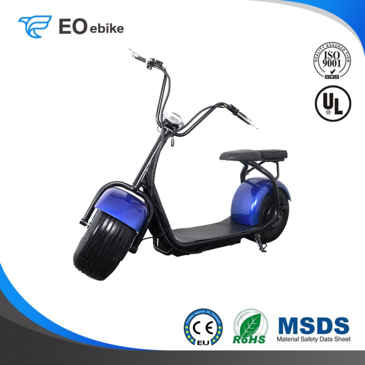 60V/12Ah Lithium Battery 1000W Classic Electric Harley Motorbike with FCC