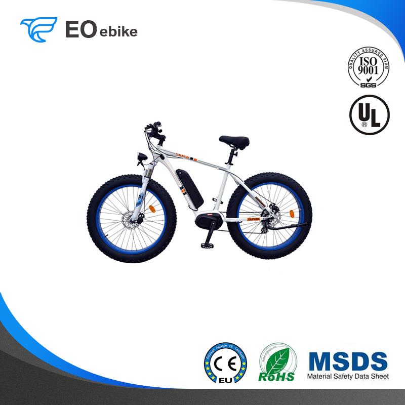 Electric Bike