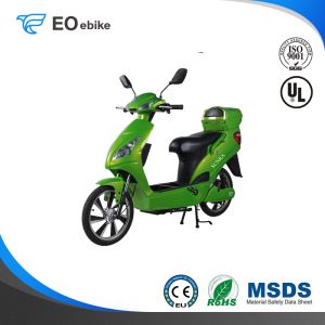 48V/20Ah Gel Battery 250-800W DC Brushless Motor EB02 Simple Electric Motorbike