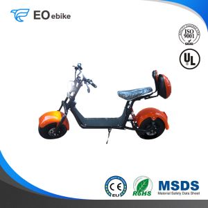 60V 1000W Big Wheel Adult Puhalei X5 Electric Harley Motorbike with CE