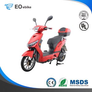 60V/20Ah Gel Battery 800W DC Brushless Motor X3 Simple Electric Motorbike