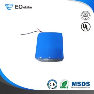 Environmentally Friendly And Pollutant Free Power 24V Electric Bike Battery