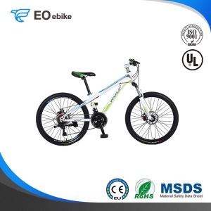 New Arrival Aluminum Alloy Rims Colorful Ruitu 168 Mountain Bike